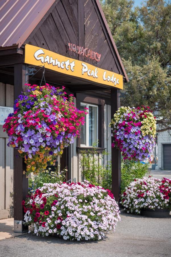 Gannett Peak Lodge باينديل المظهر الخارجي الصورة